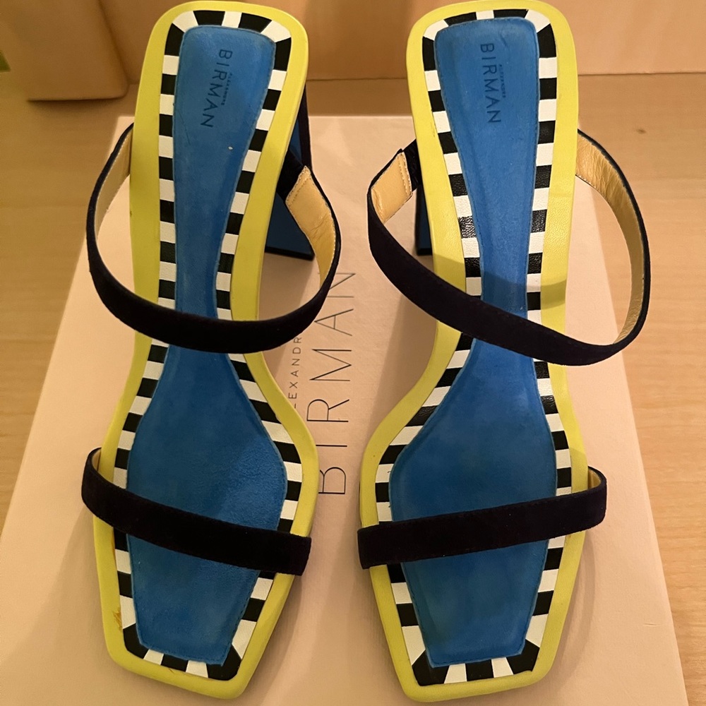 Alexandre Birman Lally 100 Mule